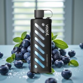 VOZOL Gear Shisha 25000 Puffs Blåbær Mynte - 1000mAh, 5mg/ml, Dual Mesh